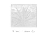 Propiedad sin Imagen